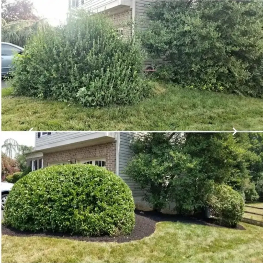 Reliable yard maintenance experts serving Sterling, VA - Bello Garcia Landscaping