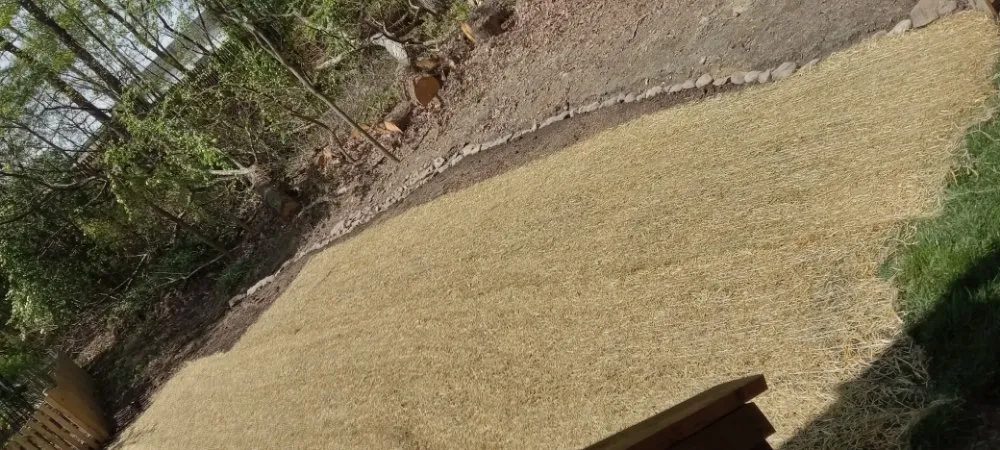 Custom yard maintenance in Sterling, VA by Bello Garcia Landscaping