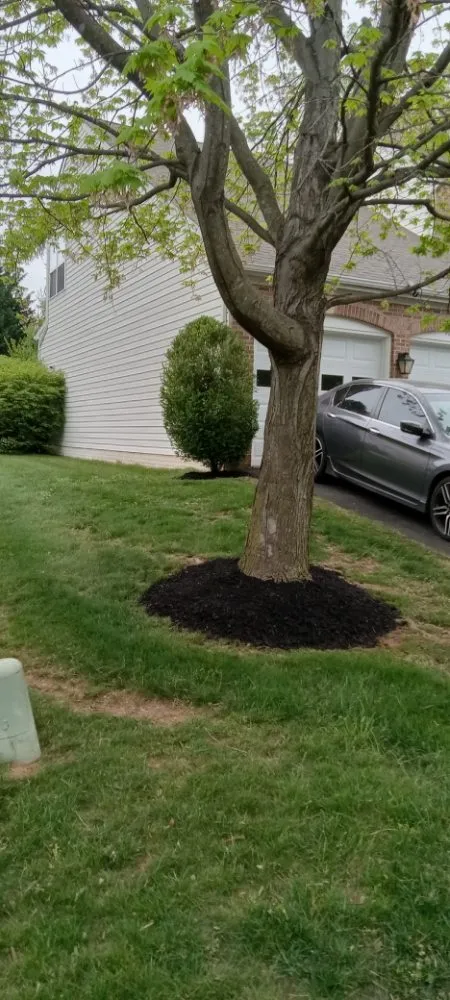 Custom garden landscaping in Sterling, VA - Bello Garcia Landscaping