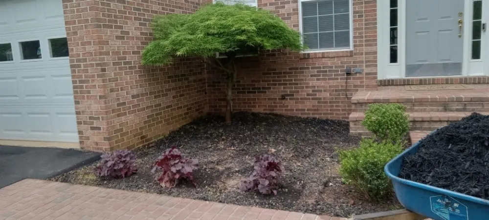 Professional landscape installation in Sterling, VA by Bello Garcia Landscaping