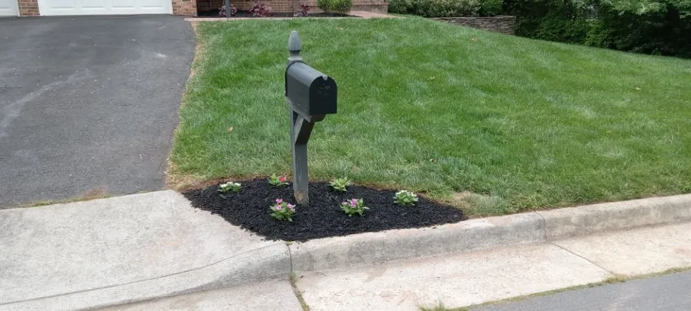 Top-rated residential landscaping in Sterling, VA by Bello Garcia Landscaping