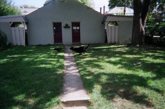 Reliable yard cleanup service for year-round maintenance in Columbus, OH by Bello Giardino