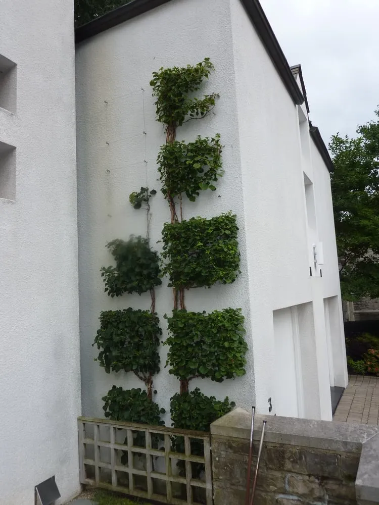 Reliable lawn care service in Columbus, OH - Bello Giardino