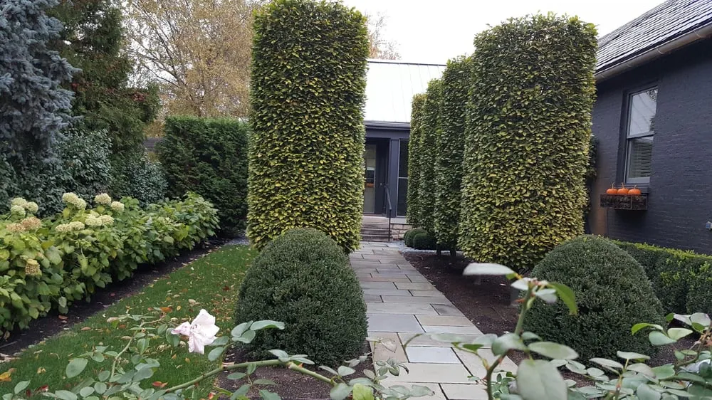 Professional landscaping services experts serving Columbus, OH - Bello Giardino