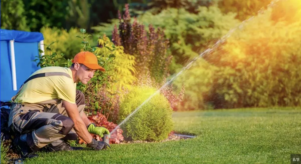 Trusted landscaping services experts serving Peyton, CO - Bello Landscape