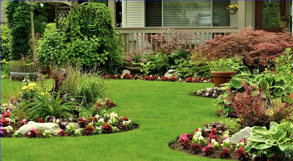 Expert lawn care service in Peyton, CO - Bello Landscape