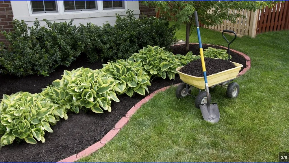 Reliable lawn mowing service for homes across Peyton, CO - Bello Landscape