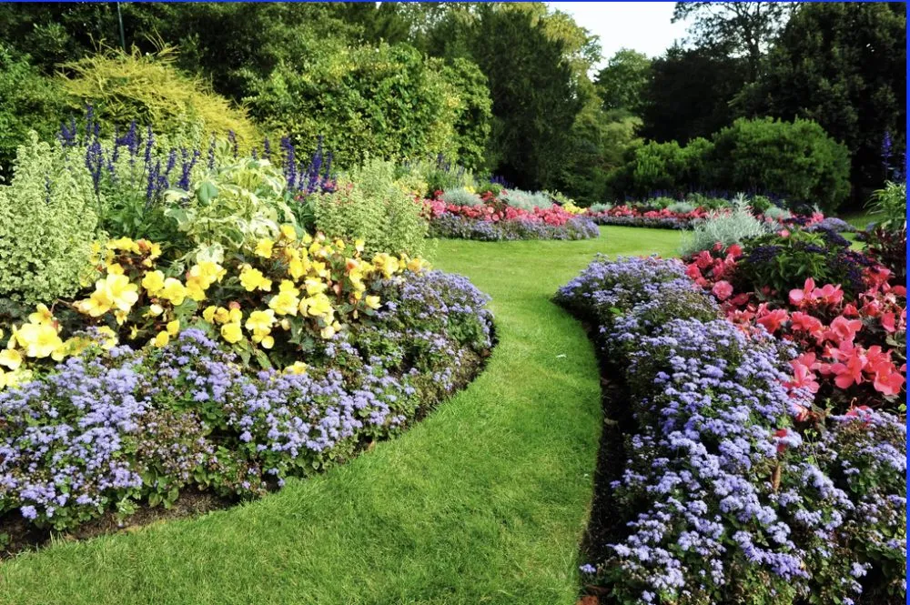 Expert yard maintenance for residential properties in Peyton, CO by Bello Landscape