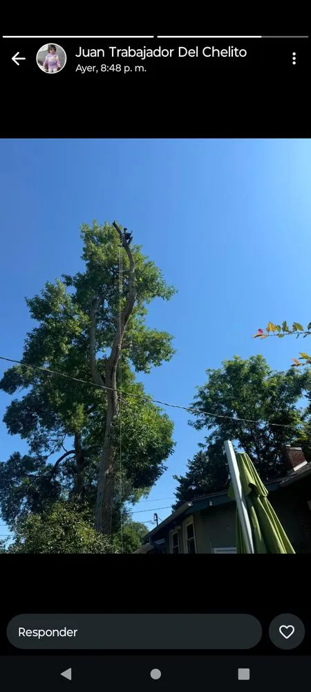 Reliable landscaping services in Aurora, CO by Bello Landscaping