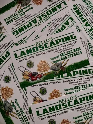 Bello Landscaping Logo