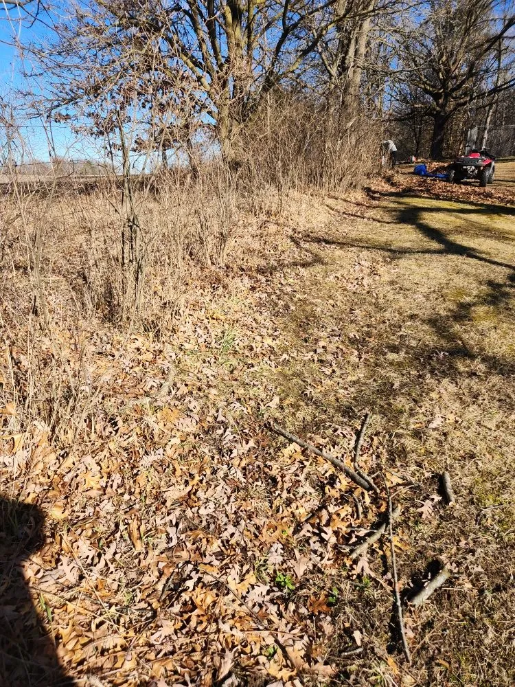 Affordable lawn mowing service for beautiful yards across Janesville, WI - Bello Property Services