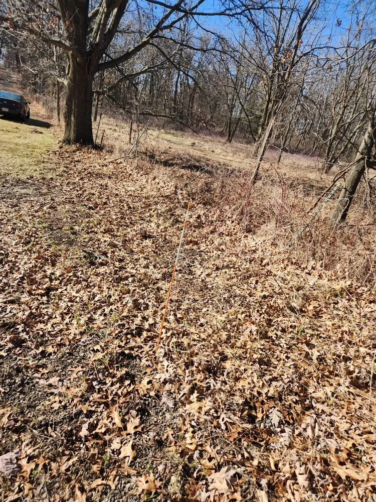 Top-rated outdoor landscaping in Janesville, WI by Bello Property Services