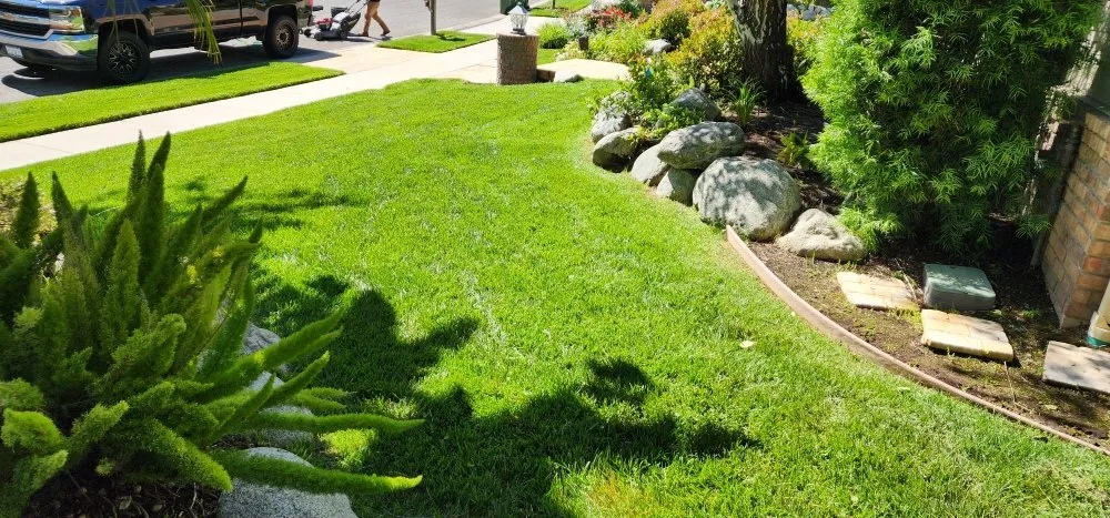 Local landscaping services in North Hollywood, CA - Bello's hardscape landscape and turff