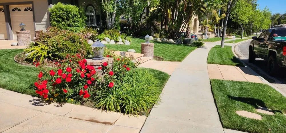 Local residential landscaping for residential properties across North Hollywood, CA - Bello's hardscape landscape and turff