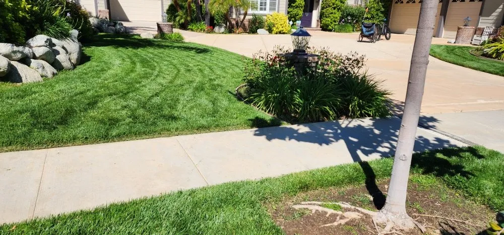 Professional residential landscaping in North Hollywood, CA - Bello's hardscape landscape and turff