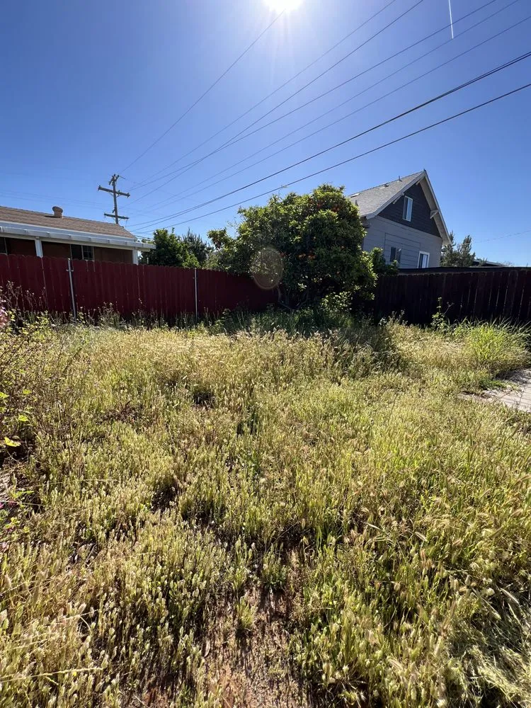 Custom residential landscaping experts serving San Diego, CA - Bello’s Landscaping