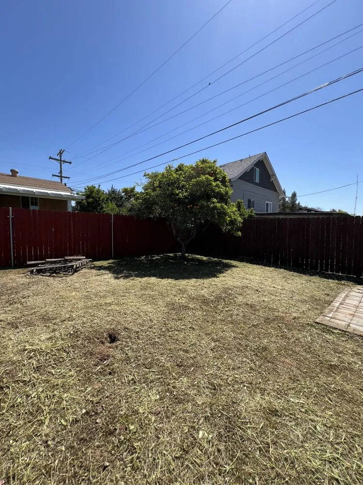 Trusted landscaping services for beautiful yards across San Diego, CA - Bello’s Landscaping