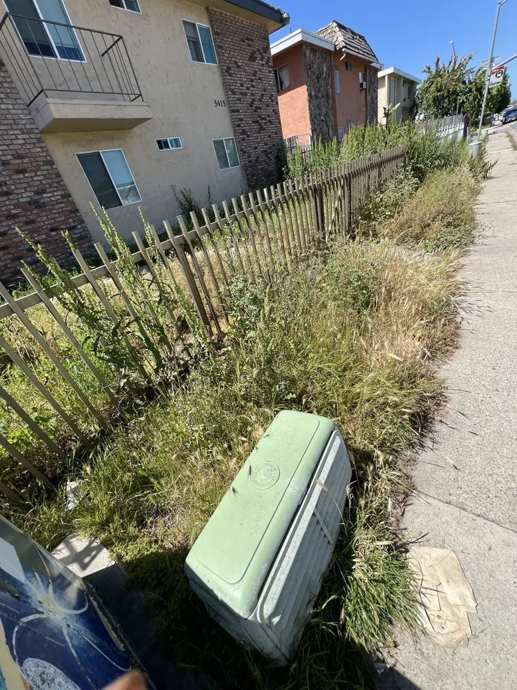 Custom landscaping services experts serving San Diego, CA - Bello’s Landscaping