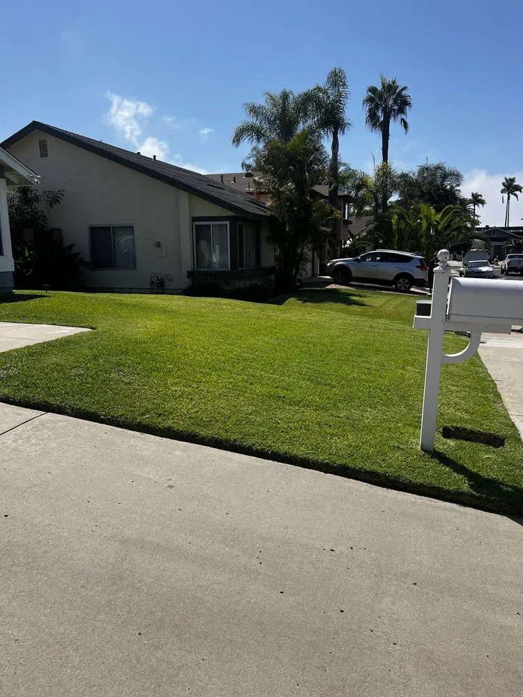 Custom outdoor landscaping for year-round maintenance in San Diego, CA by Bello’s Landscaping