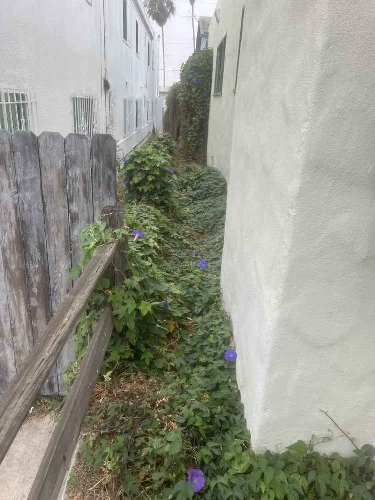 Top-rated lawn mowing service in San Diego, CA - Bello’s Landscaping