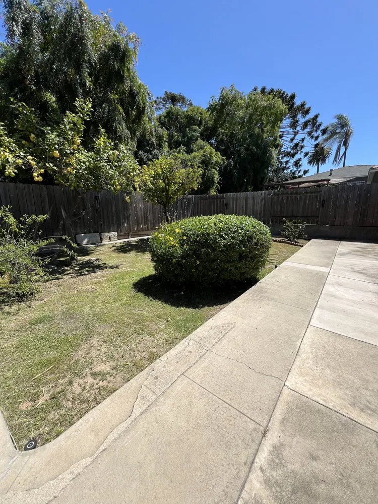 Reliable yard maintenance for beautiful yards in San Diego, CA by Bello’s Landscaping