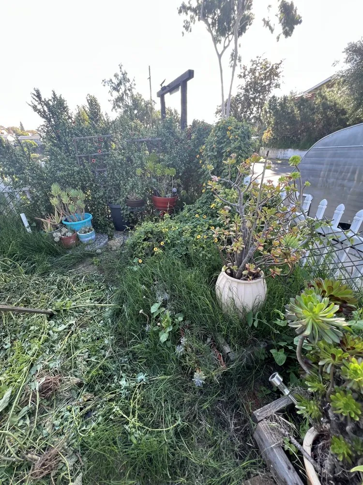 Professional lawn mowing service in San Diego, CA by Bello’s Landscaping