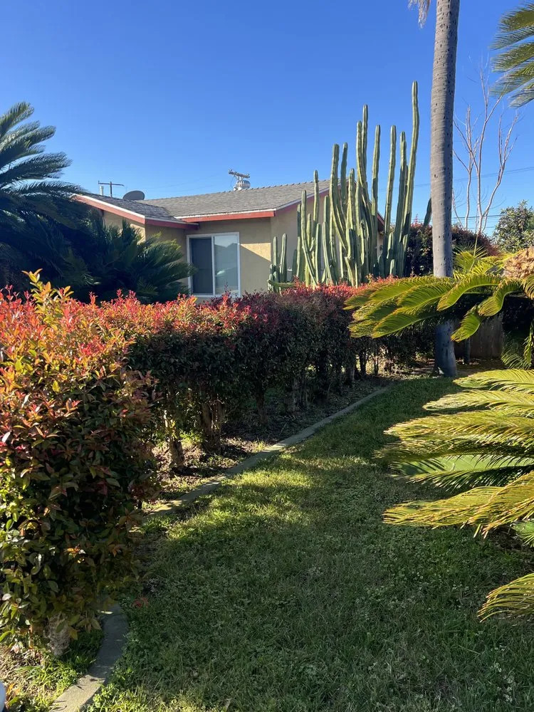 Trusted outdoor landscaping with custom design in San Diego, CA by Bello’s Landscaping