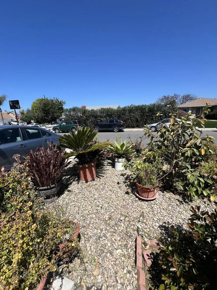 Trusted landscaping services experts serving San Diego, CA - Bello’s Landscaping