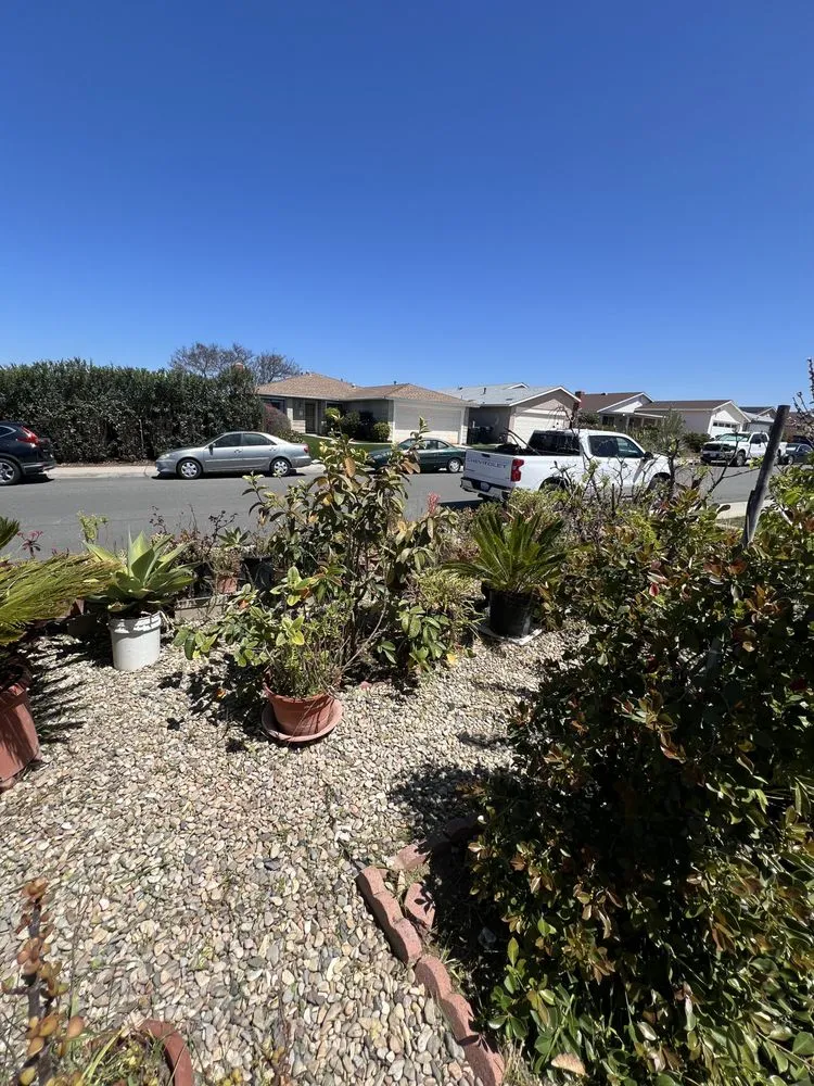 Expert landscape installation for outdoor upgrades across San Diego, CA - Bello’s Landscaping