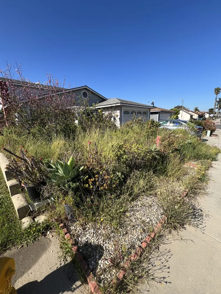 Custom landscape design with custom design in San Diego, CA by Bello’s Landscaping