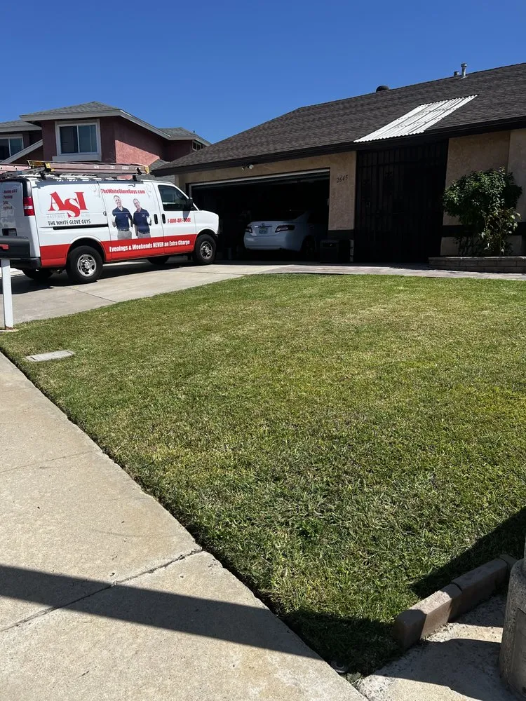 Professional yard cleanup service experts serving San Diego, CA - Bello’s Landscaping