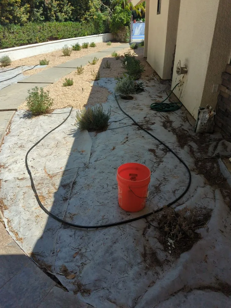 Top-rated residential landscaping experts serving Vista, CA - Bello's Landscaping