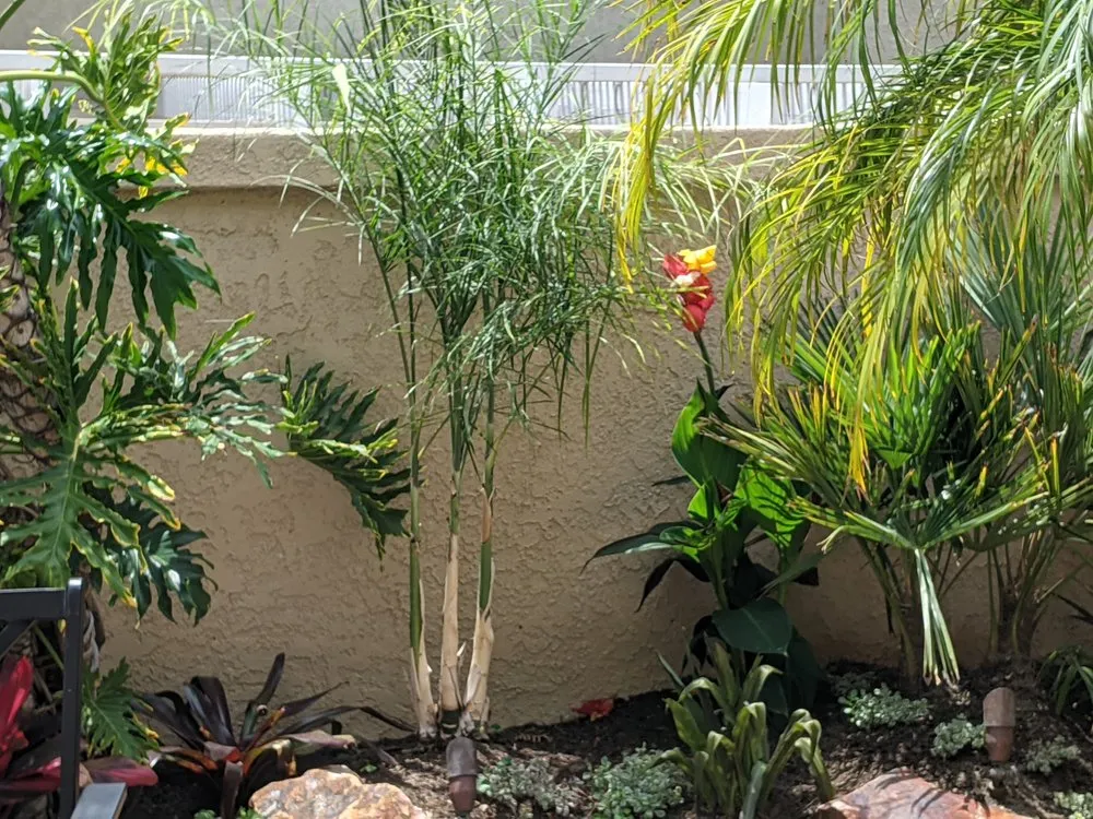 Custom landscape installation for residential properties across Vista, CA - Bello's Landscaping