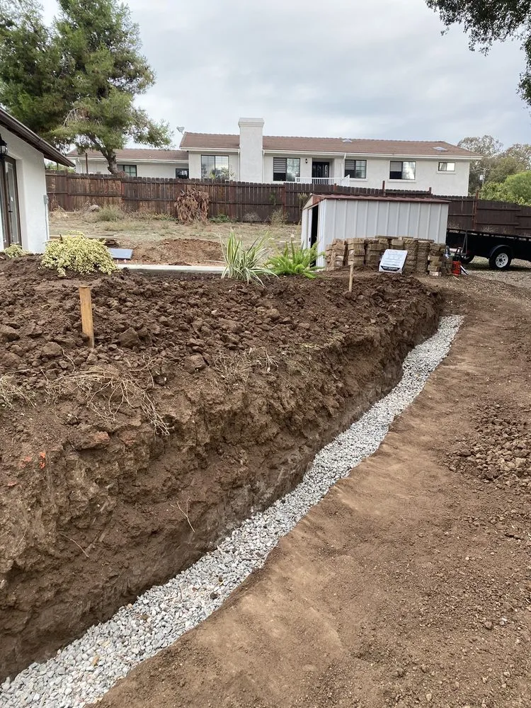 Local yard cleanup service experts serving Vista, CA - Bello's Landscaping