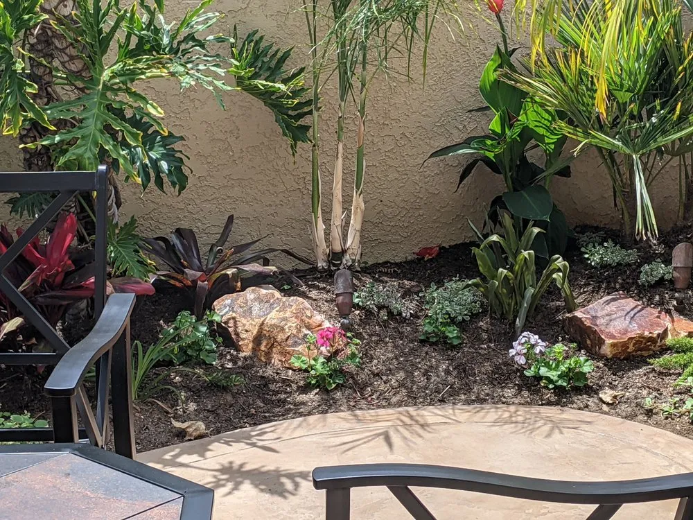 Trusted yard cleanup service experts serving Vista, CA - Bello's Landscaping