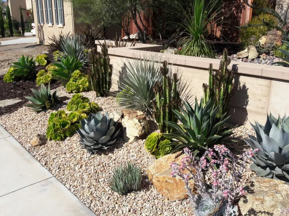 Local outdoor landscaping with custom design in Vista, CA by Bello's Landscaping