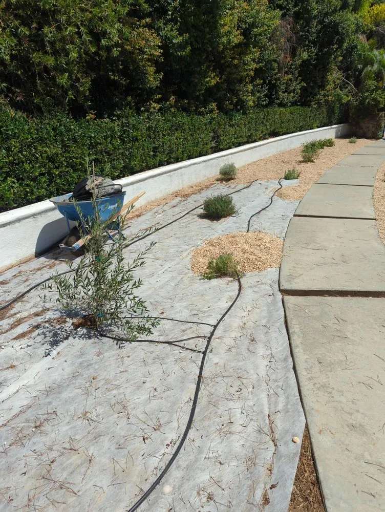 Professional residential landscaping for beautiful yards across Vista, CA - Bello's Landscaping