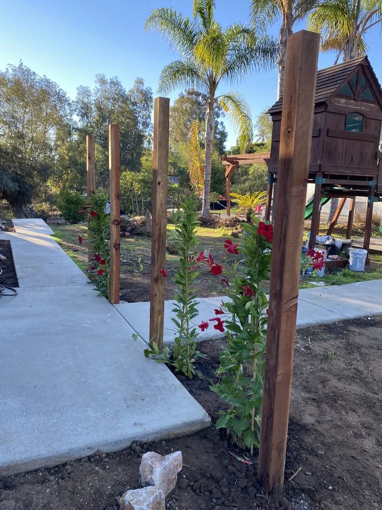 Affordable yard maintenance in Vista, CA by Bello's Landscaping
