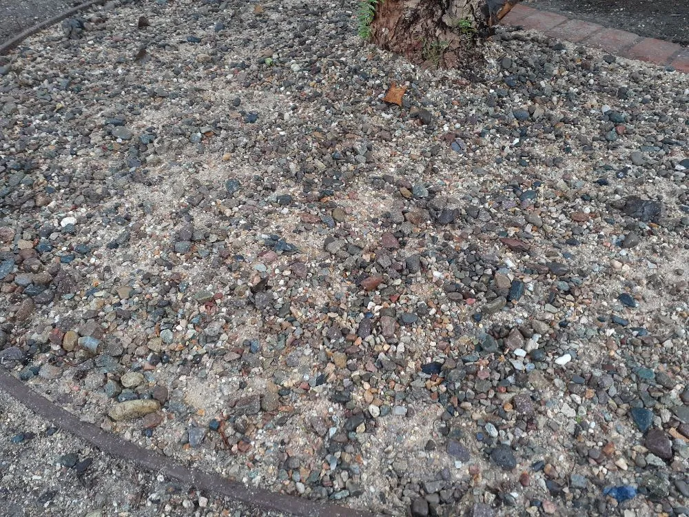 Trusted landscape installation in Vista, CA - Bello's Landscaping