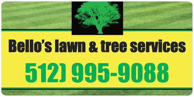 Top-rated yard cleanup service experts serving Lockhart, TX - Bello’s Lawn & Tree Service