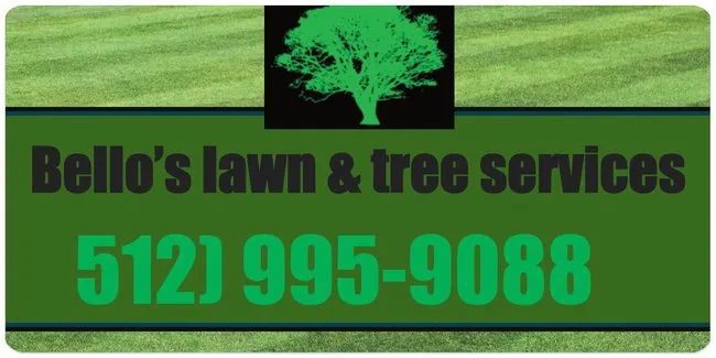 Top-rated landscaping services in Lockhart, TX by Bello’s Lawn & Tree Service