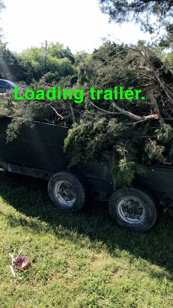 Professional landscape design experts serving Lockhart, TX - Bello’s Lawn & Tree Service