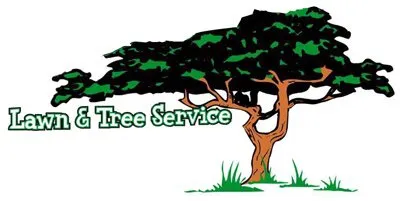 Professional landscape installation with custom design across Lockhart, TX - Bello’s Lawn & Tree Service