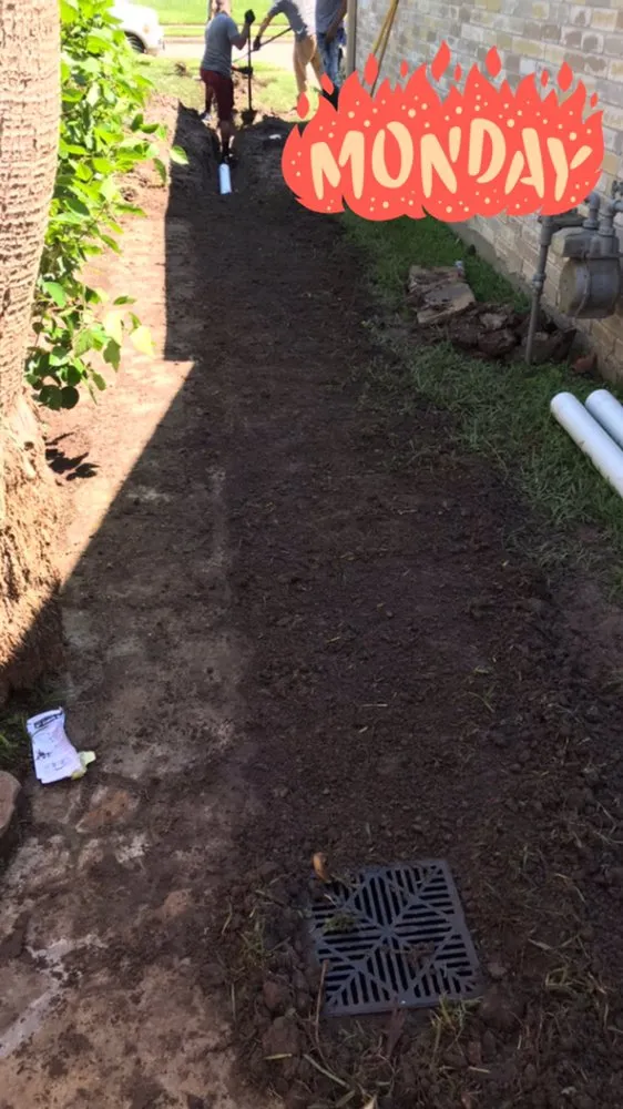 Reliable yard maintenance for outdoor upgrades across Beaumont, TX - Bells & Whistles