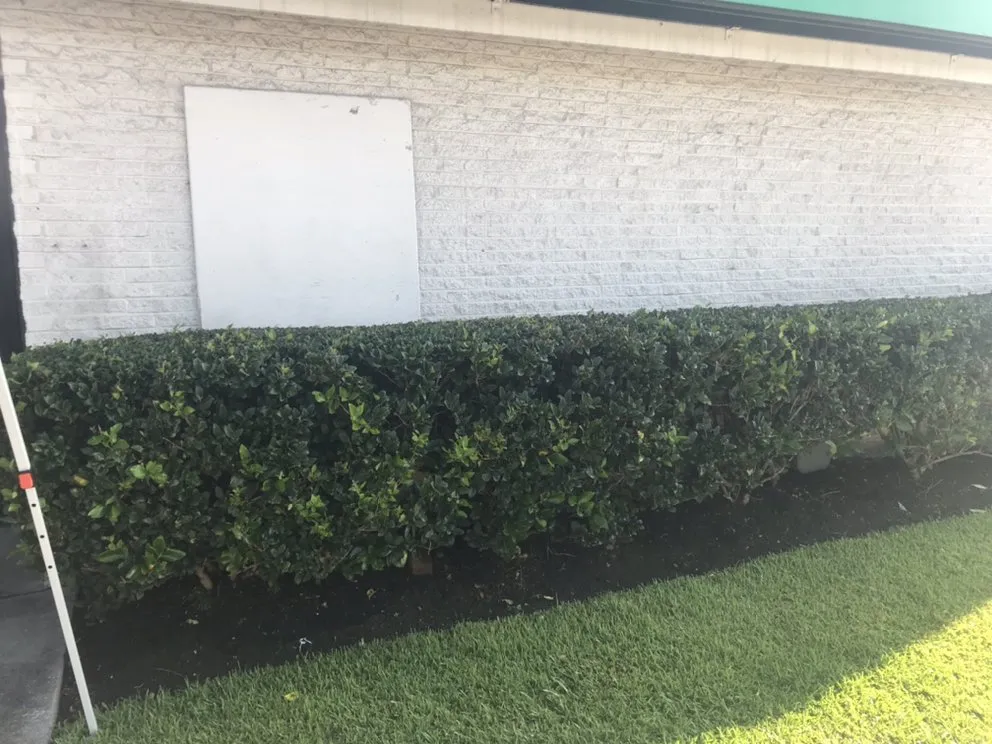 Affordable landscape installation for homes in Beaumont, TX by Bells & Whistles