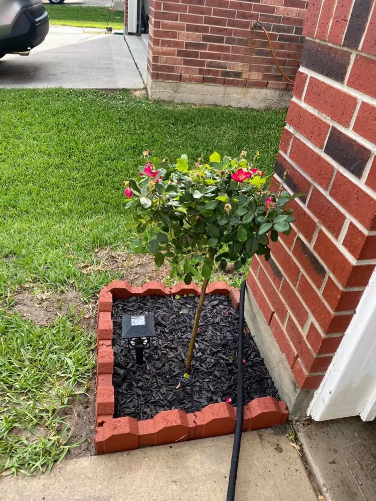 Trusted garden landscaping in Beaumont, TX by Bells & Whistles