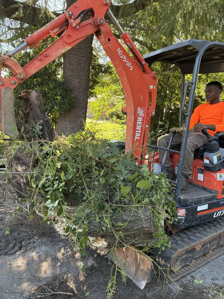 Top-rated landscape installation for outdoor upgrades across Grovetown, GA - Bells Affordable Landscaping