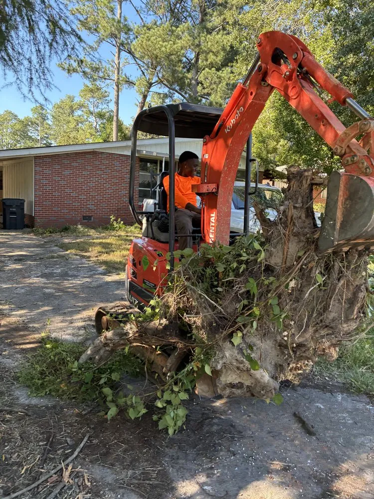 Top-rated landscape installation for beautiful yards in Grovetown, GA by Bells Affordable Landscaping