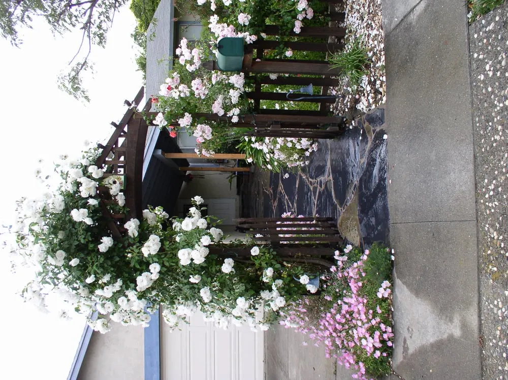 Custom landscape design for year-round maintenance in S San Francisco, CA by Bells and Biddle Landscaping