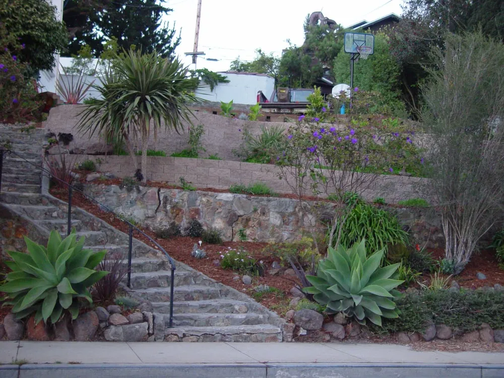 Trusted lawn care service in S San Francisco, CA - Bells and Biddle Landscaping
